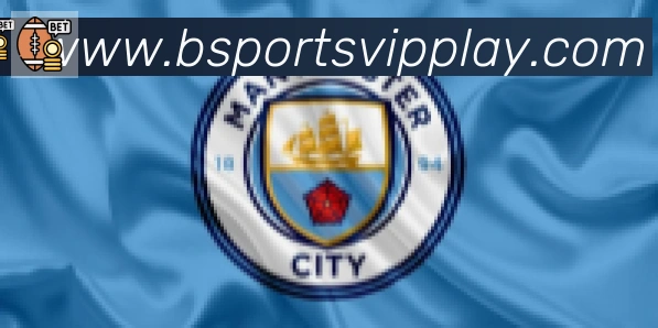 Bsports官网合作伙伴