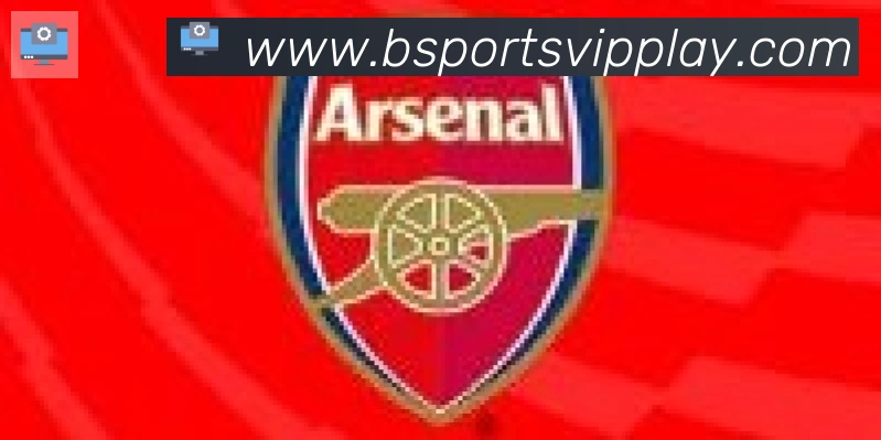 Bsports官网合作伙伴