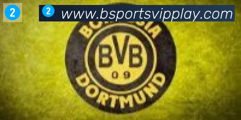 Bsports官网合作伙伴